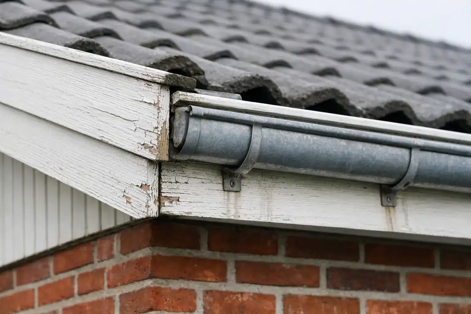 Foto af tagudhæng på dansk parcelhus fra 1960-1990 med hvidt sternbræt og vindskede med afskallet maling samt zinktagrende monteret i sternbrættet. Overgangen mellem tag, tagrende og murværk ses i realistisk byggesagkyndig stil.